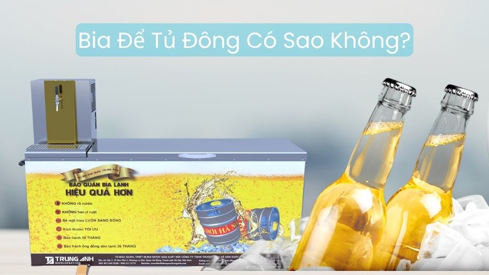 Bia Để Tủ Đông Có Sao Không