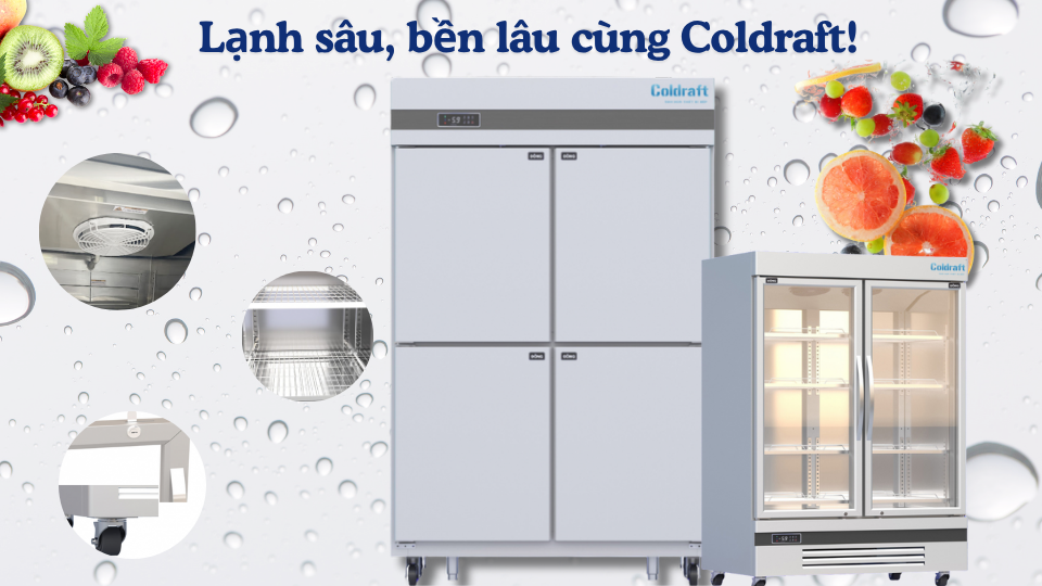 Địa Chỉ Bán Tủ Đông Công Nghiệp Tại Hà Nội
