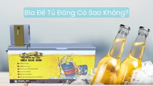 Bia Để Tủ Đông Có Sao Không