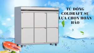 Khám phá giải pháp bảo quản thực phẩm cùng Tủ đông Coldraft