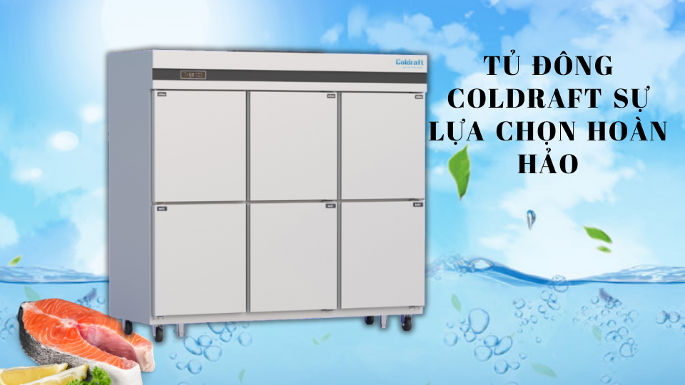 Khám phá giải pháp bảo quản thực phẩm cùng Tủ đông Coldraft