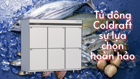 Khám phá giải pháp bảo quản thực phẩm cùng Tủ đông Coldraft