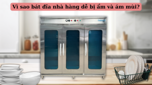Làm Sao Giữ Bát Đĩa Khô Sạch Không Mùi Trong Nhà Hàng?